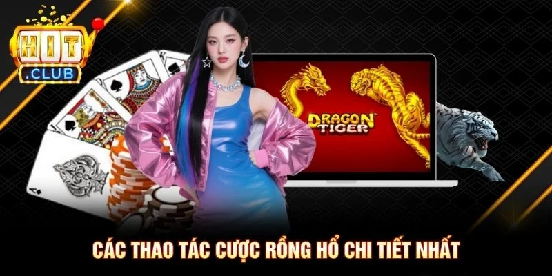 Các thao tác cược Rồng Hổ chi tiết nhất Các thao tác cược Rồng Hổ chi tiết nhất